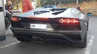 COMPILATION Startup Sounds! #1 : 812 GTS - URUS MANSORY P900 - SVJ - FF - VANQUISH ZAGATO - DBS