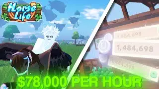 Ultimate Horse Life Money Guide for Beginners! (Roblox)
