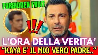VERITA' RIVELATA..KAYA SENTE OGNI COSA: