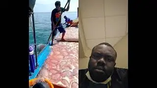 The world most dangerous jobs #shortvideos #trending #shorts #duet