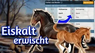 Horse Reality #379 Ich wurde eiskalt erwischt gameplay German