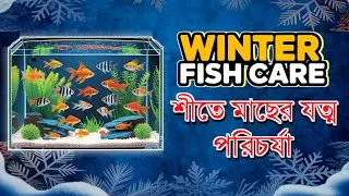 Winter Season Aquarium Fish Care 🐠| Winter Fish Care and Maintenance | Winter Fish Care 🐠