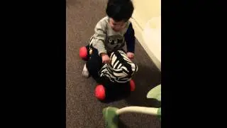 Da da da da zebra ride.