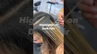 Blonde Highlights on Dark Hair is Possible 🫶🏽 #highlightsondarkhair