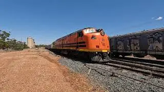 CLF2, 4904 & CLP12 shunt Condobolin NSW.  Sat 02nd Nov 2024