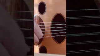 Gut strings Floating bridge oud