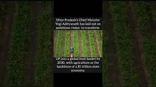 UP&rsquo;s Push to Become the &ldquo;Global Food Basket&rdquo; by 2030 #shorts #currentaffairs #news #uttarpradesh