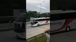 #fypシ゚viral #fypシ #maniabus #maniabasuri #busbasuriterbaru