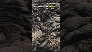 This &lsquo;Twin Earth&rsquo; Is a Hell-World