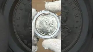 ШИКАРНЫЙ ДОЛЛАР МОРГАНА ОТПРАВЛЯЕТСЯ НА СЛАБИРОВКУ! #coin #коллекционированиемонет #money #золото