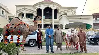 Adil Chatta sahab ki Qurbani 🦙🐫Wapsi py kiya Full Enjoy😉
