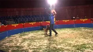 Circus Amara in Losser.mpg