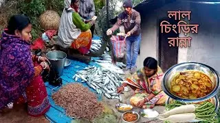 মাছের বাজার থেকে লাল চিংড়ি মাছ নিয়ে এসে রান্না খাওয়া| মুলা আর তেঁতুল দিয়ে চিংড়ি মাছের টক