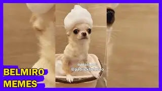 Belmiro Memes: Melhores dublagens engra&ccedil;adas da semana 23