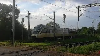 ( SPECJAL DLA 100 SUB&Oacute;W ) Jedyna Złota EN61-001