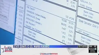 Primary election results second printout