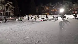 Pond Hockey - Championship