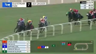 Gulfstream Park, 26 октября 2025 г., гонка 7