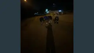 My balls itch