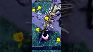 First day in Ark be like...