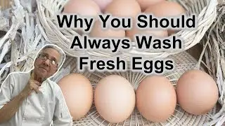 Why You Should Always Wash Fresh Eggs  | The Crazy Chef