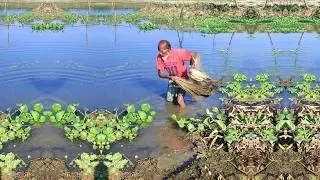 Amazing Fishing Skill - Best Cast Net Fishing - Fishing by Poor and Skilled Fisherman