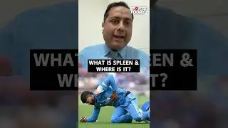 Top sports injury specialist explains Iyer's 'laceration of spleen' injury  |Sports Today