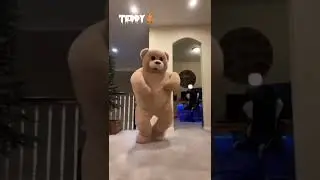 𝐭𝐞𝐝𝐝𝐲🧸 𝐛𝐞𝐚𝐫 𝐝𝐚𝐧𝐜𝐢𝐧𝐠 𝐨𝐧 