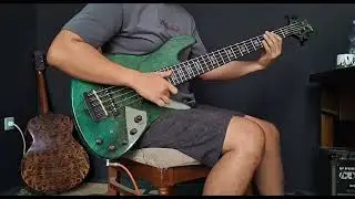 Walkin' With The Bass ( Bass Cover )