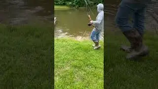 27lbs Grass Carp Bowfishing #bowfishing #fishing #foryou #carpfishing