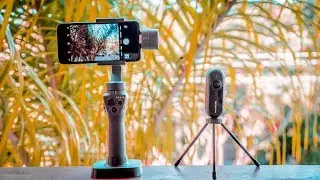 GIMBAL vs 360 CAMERA - Which is MORE STABLE?