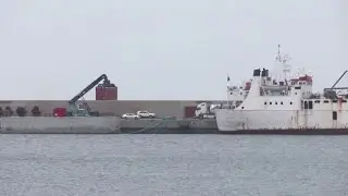 Spanish report calls for killing of cattle on pariah ship