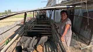 लालपुरमा भेटियोमेहनति दिदी बङगुरपालेर नै छोरा-छोरी पढाउदै  गाउँको माया र सत्कार गराई नै मजाको हुन्छ 