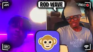 They Better Start Putting Some Respect On My Name Trolling On The Monkey App 🐵