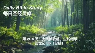 Daily Bible Study Day 204