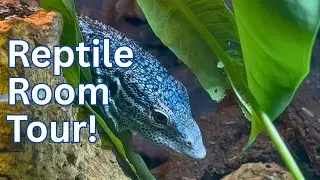 Brad's Bioactive Builds Reptile Room Tour! #Epic