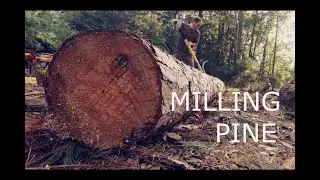Milling Pine For A Timber Frame Cabin