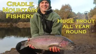 HUGE TROUT: Fishing Cradle Mountain Camping and Fishery