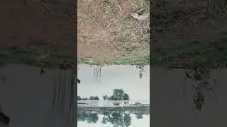 water reflection 🪞