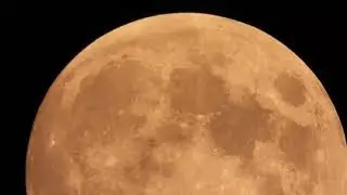 Nikon P1000 Red Pill 2.  UHD