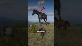 Три самых больших животных, на которых можно охотиться в Red Dead Redemption 2 #shorts