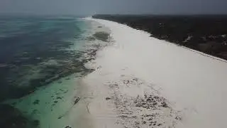 Diani Beach low tide morning