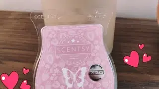 Scentsy February's Warmer of the Month