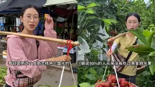 白菜去山里摘了豇豆去赶集，巧用皮筋和辣椒把豇豆卖光光！｜摘了两筐黑金刚水果去摆摊，用翘翘的杆秤盘光光！