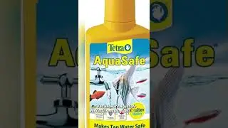 Safe Water with Tetra AquaSafe! 🐟💧