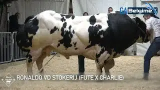RONALDO VD STOKERIJ (2024)