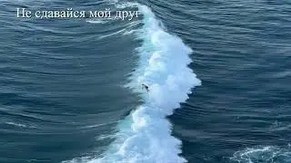 Не сдавайся !