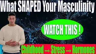 How Childhood Shapes You | Stress Rewires Masculinity | The Hidden Hormonal Personality Blueprint