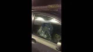 1/11/18 : Slumlord Issac Pollack caught illegally dumping trash & threatening tenants -pt1