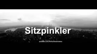 Как произносится Sitzpinkler на немецком языке?